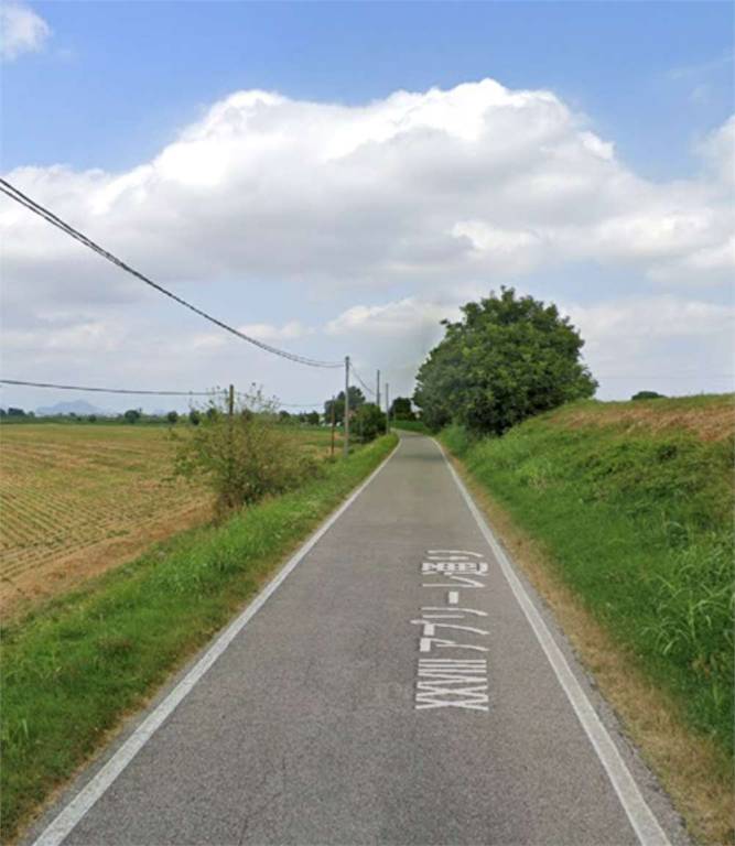 immagine annuncio 9 di 11