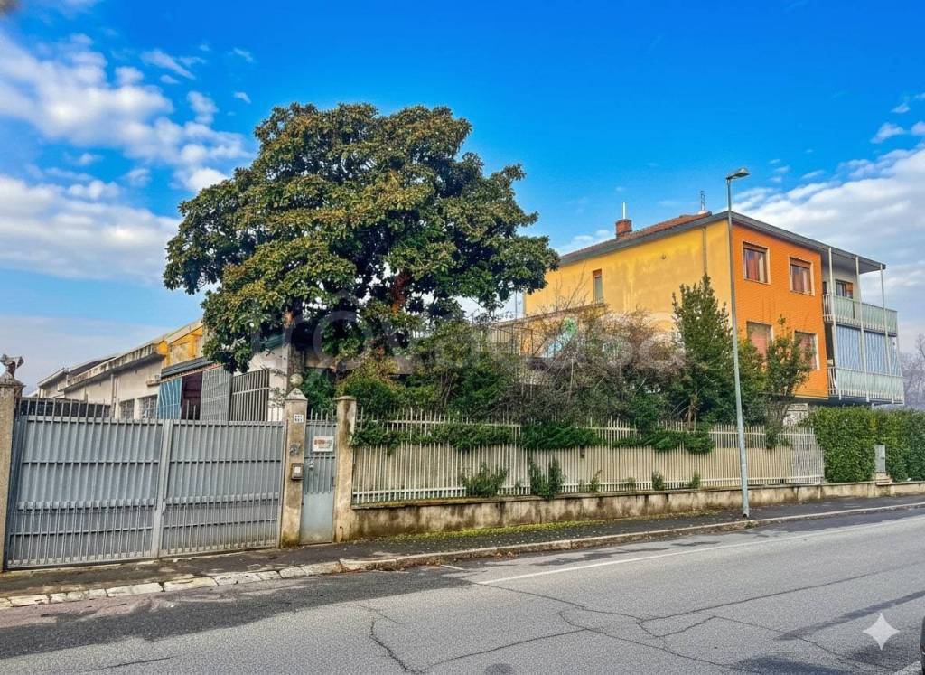 immagine annuncio 2 di 11