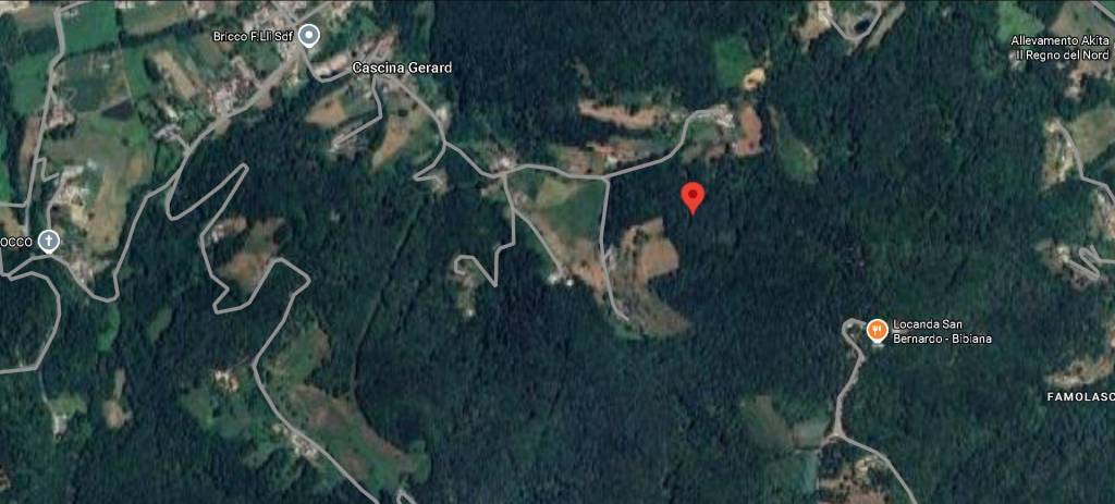 immagine annuncio 10 di 12