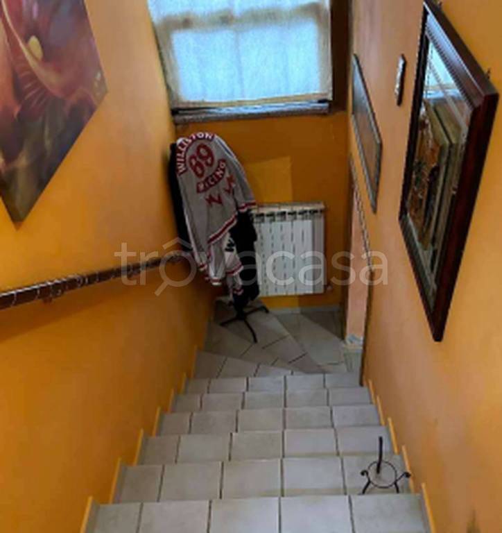 immagine annuncio 5 di 11