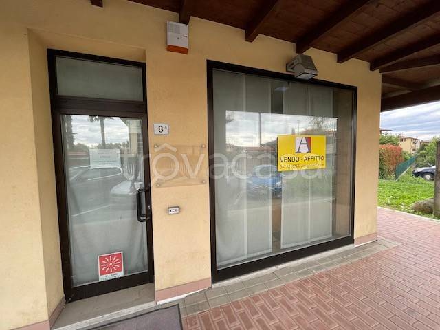 immagine annuncio 5 di 6