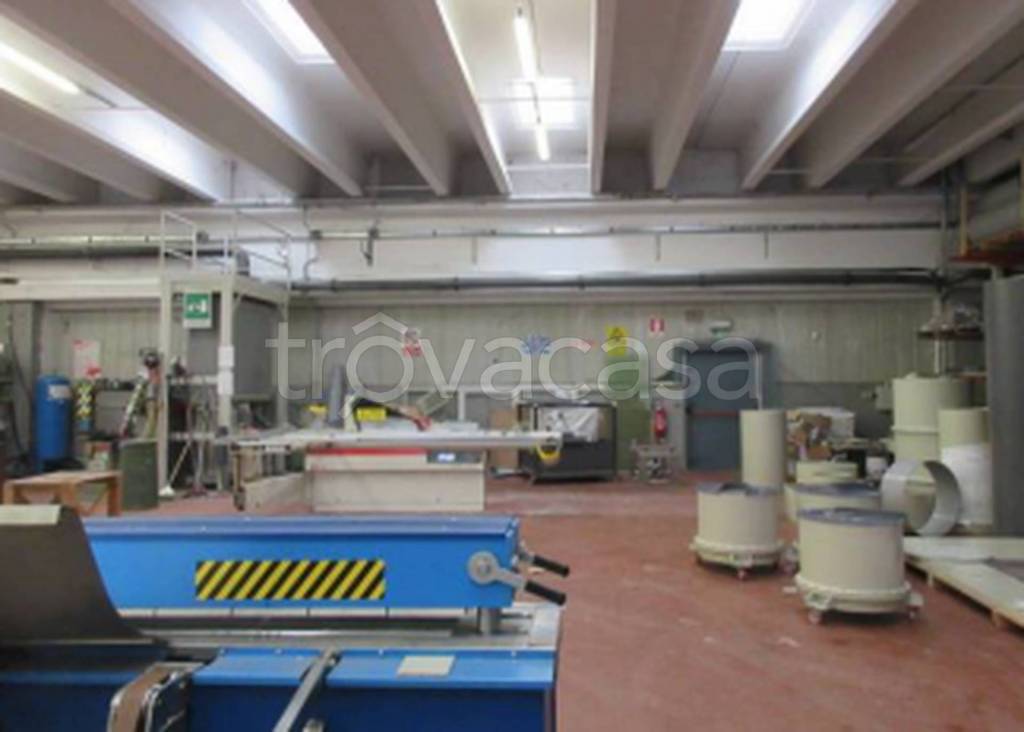 immagine annuncio 2 di 11