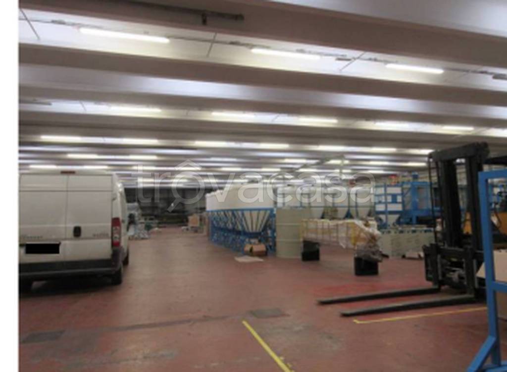 immagine annuncio 4 di 11