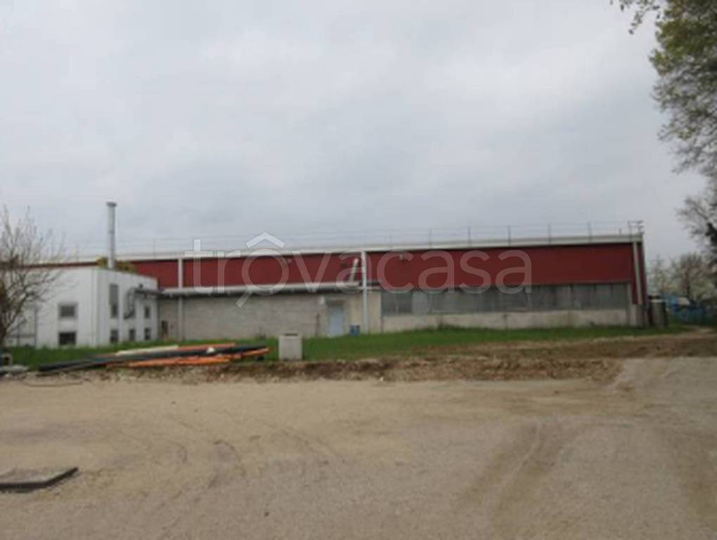 immagine annuncio 9 di 11