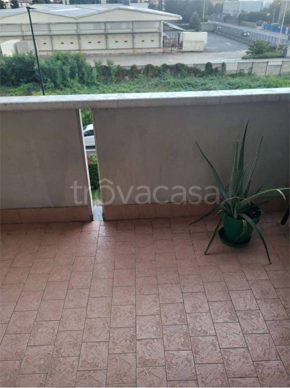 immagine annuncio 2 di 6