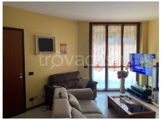 immagine annuncio 2 di 14