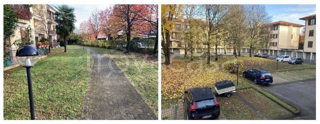 immagine annuncio 10 di 14