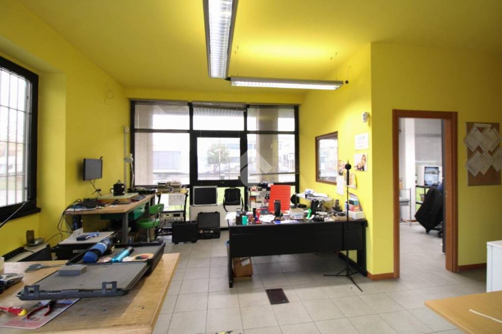 immagine annuncio 5 di 15