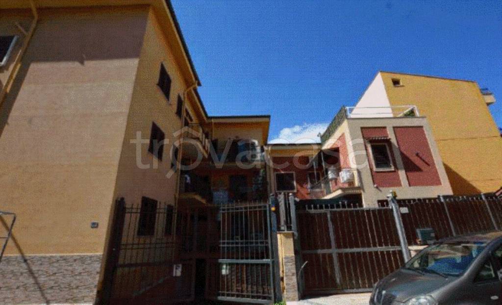 immagine annuncio 10 di 12