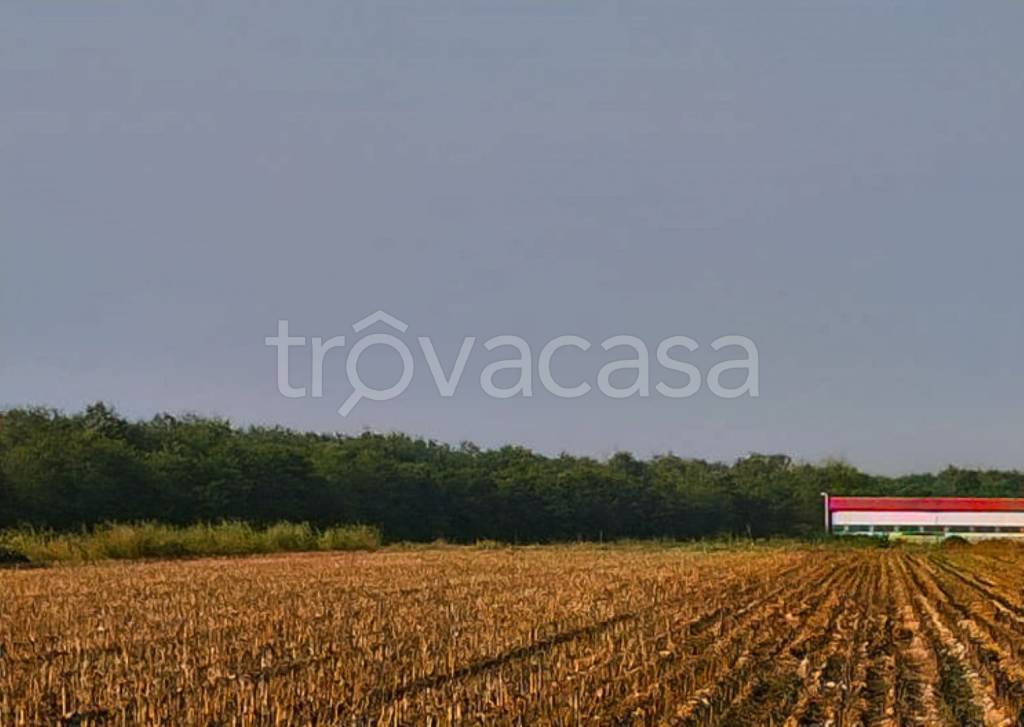 immagine annuncio 6 di 11