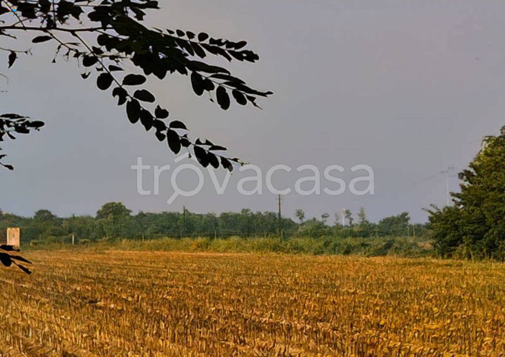 immagine annuncio 8 di 11