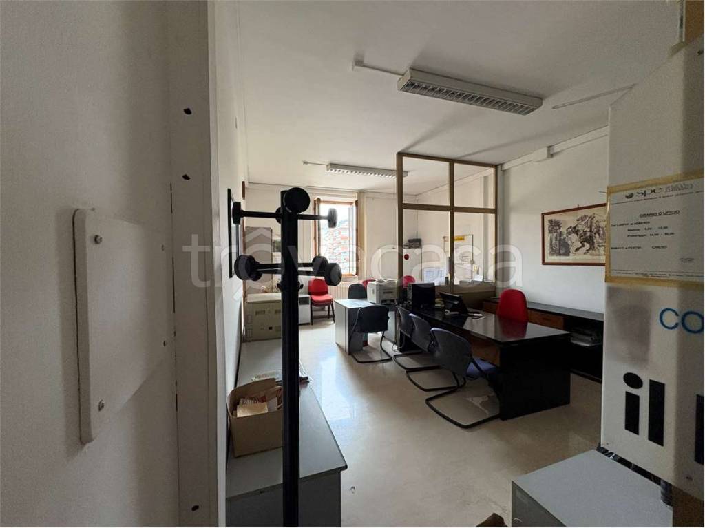 immagine annuncio 9 di 14