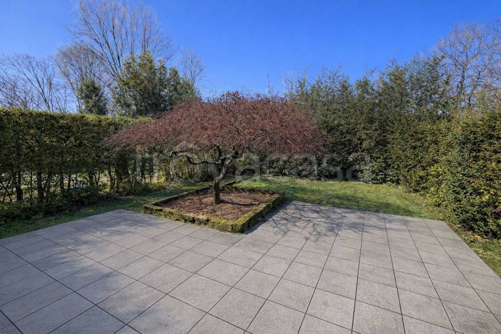 immagine annuncio 7 di 8