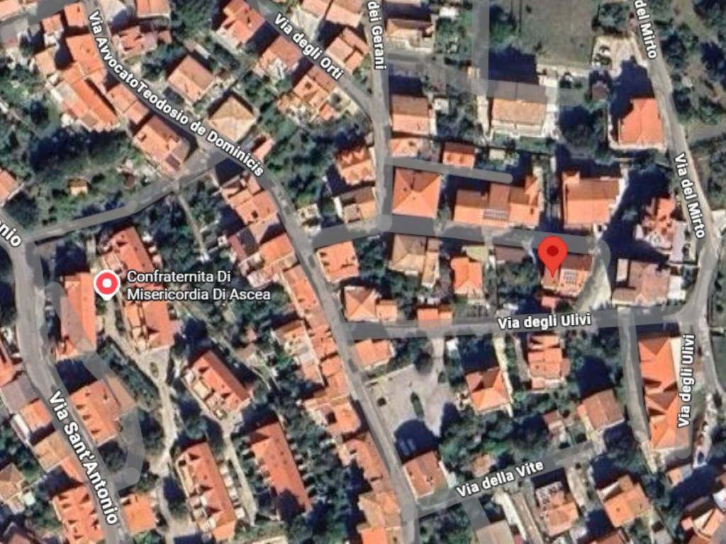 immagine annuncio 3 di 12