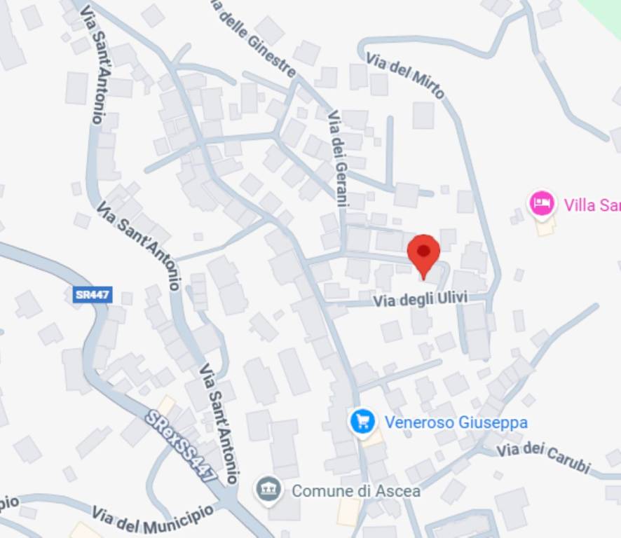 immagine annuncio 9 di 12