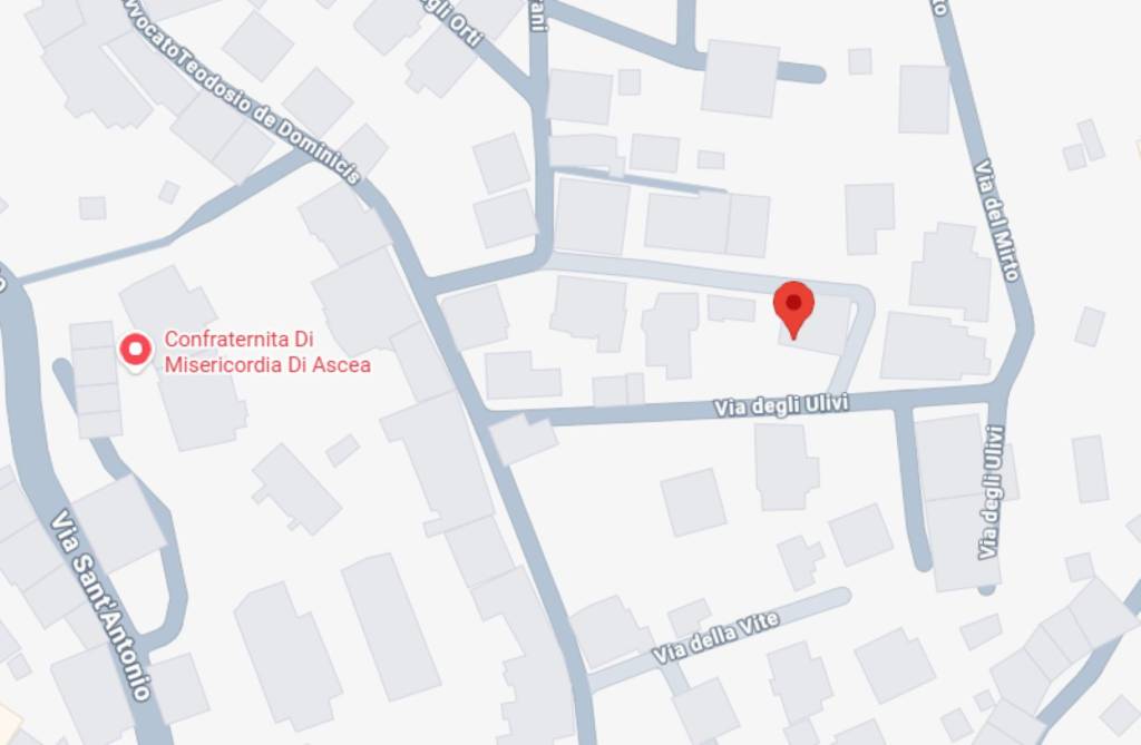 immagine annuncio 11 di 12