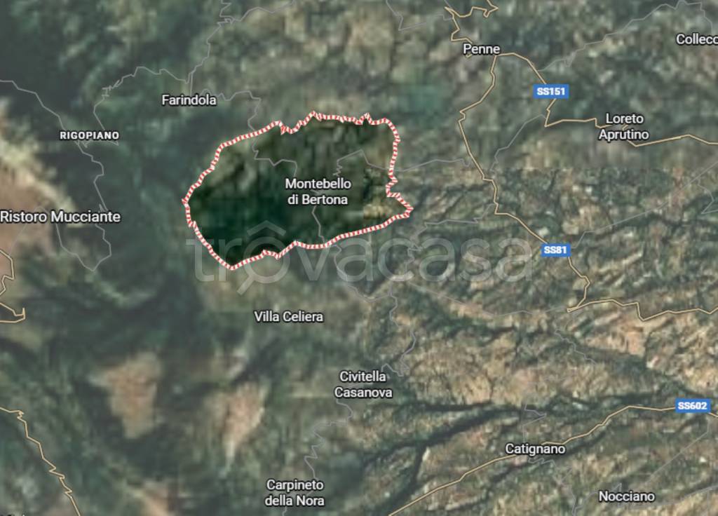 immagine annuncio 5 di 9