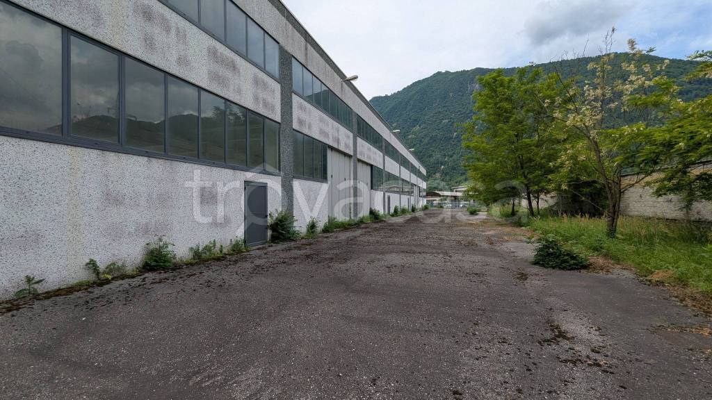 immagine annuncio 6 di 14