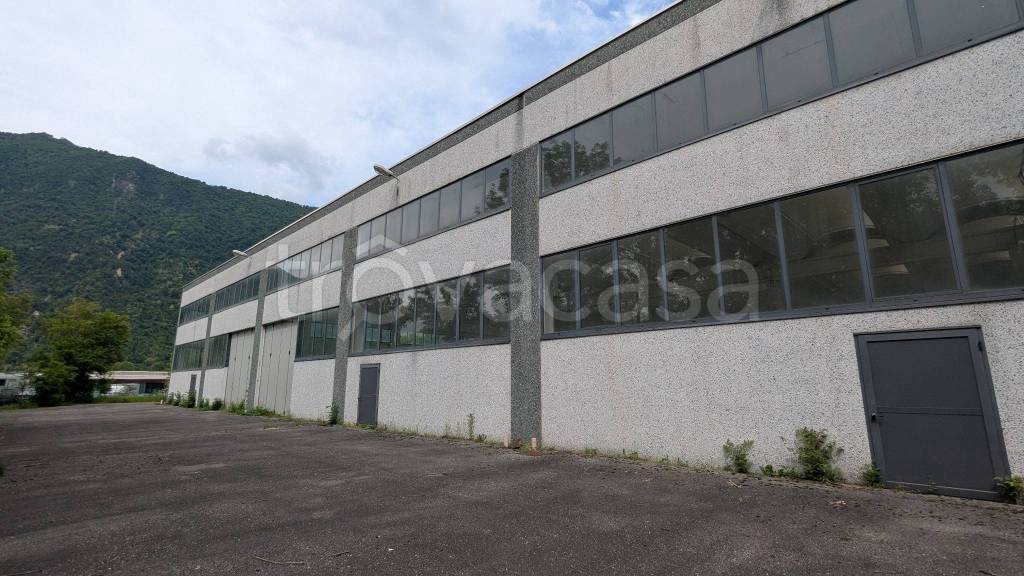 immagine annuncio 11 di 14