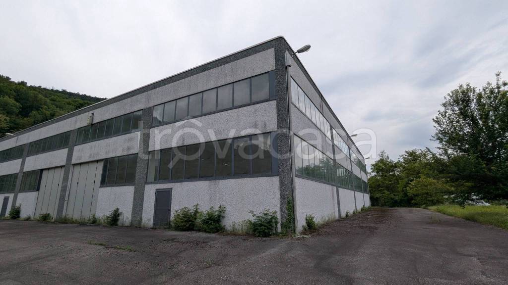 immagine annuncio 12 di 14