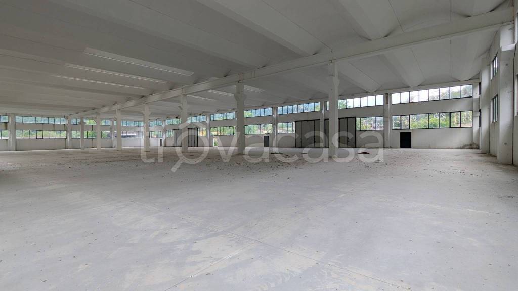 immagine annuncio 8 di 14