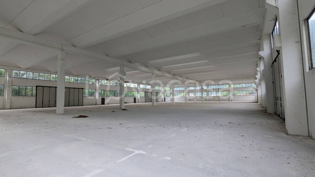 immagine annuncio 9 di 14