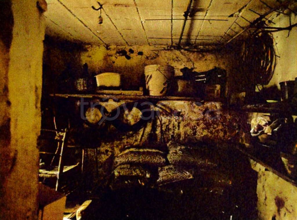 immagine annuncio 2 di 12