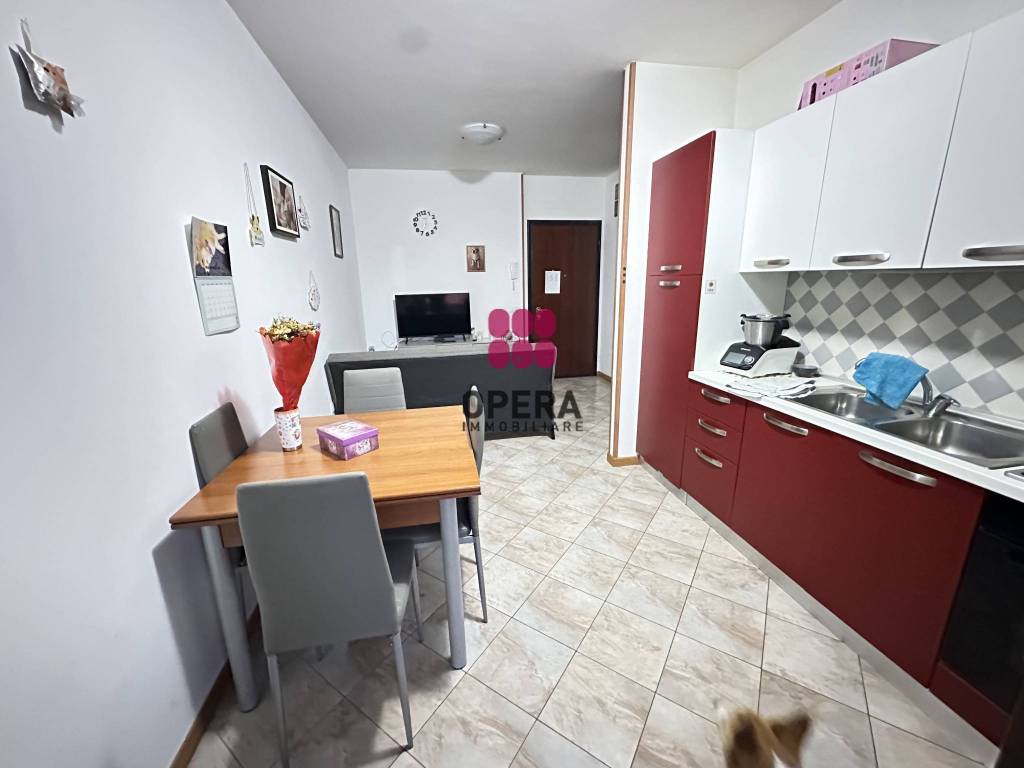 immagine annuncio 1 di 9