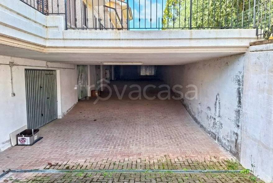 immagine annuncio 2 di 12