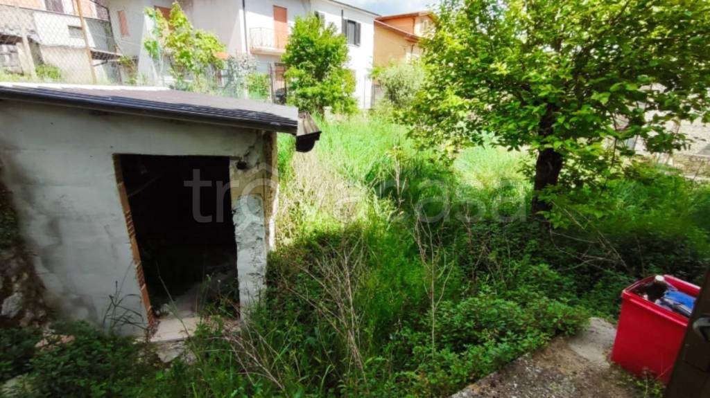 immagine annuncio 3 di 11