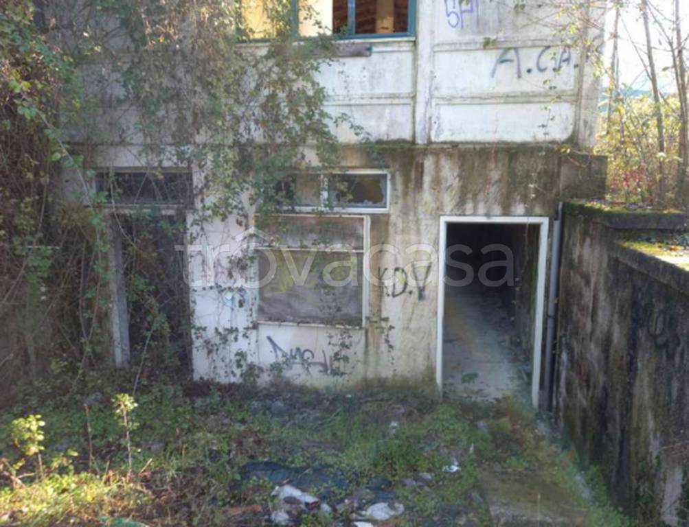 immagine annuncio 5 di 11