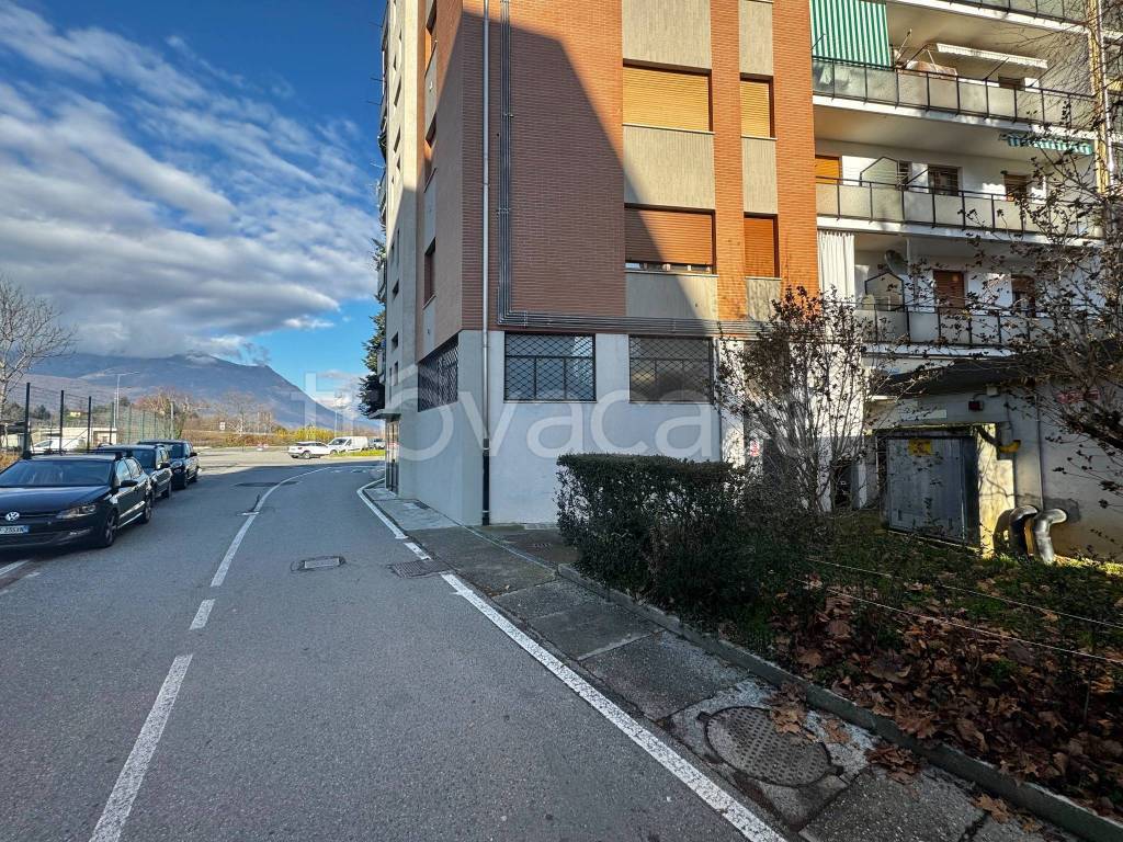 immagine annuncio 12 di 14