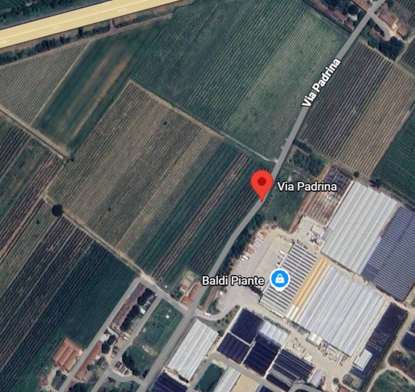 immagine annuncio 8 di 11