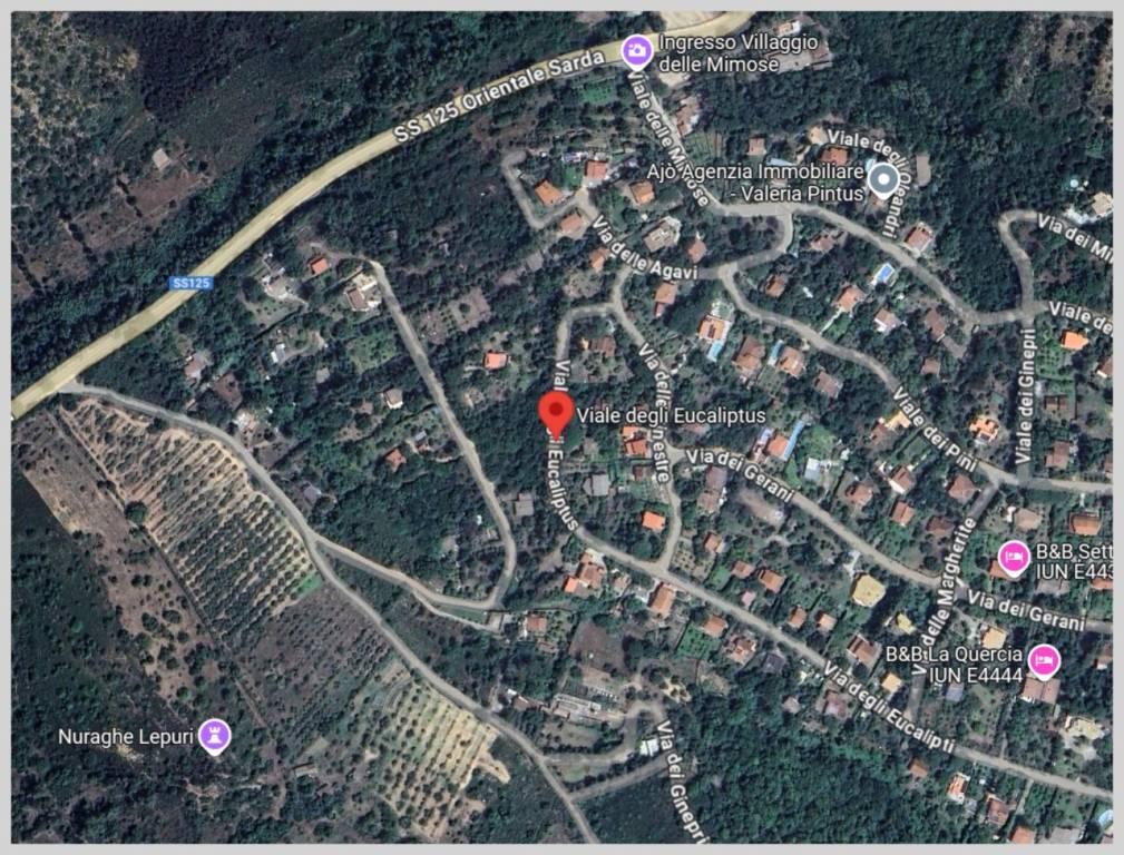 immagine annuncio 11 di 15