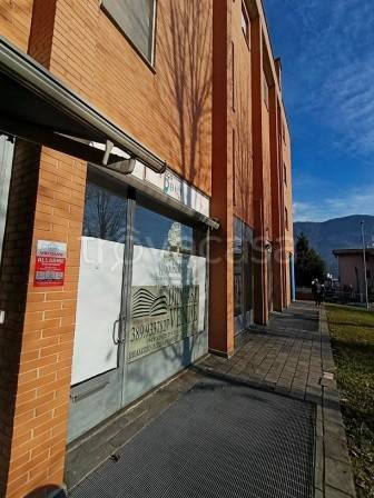 immagine annuncio 2 di 14