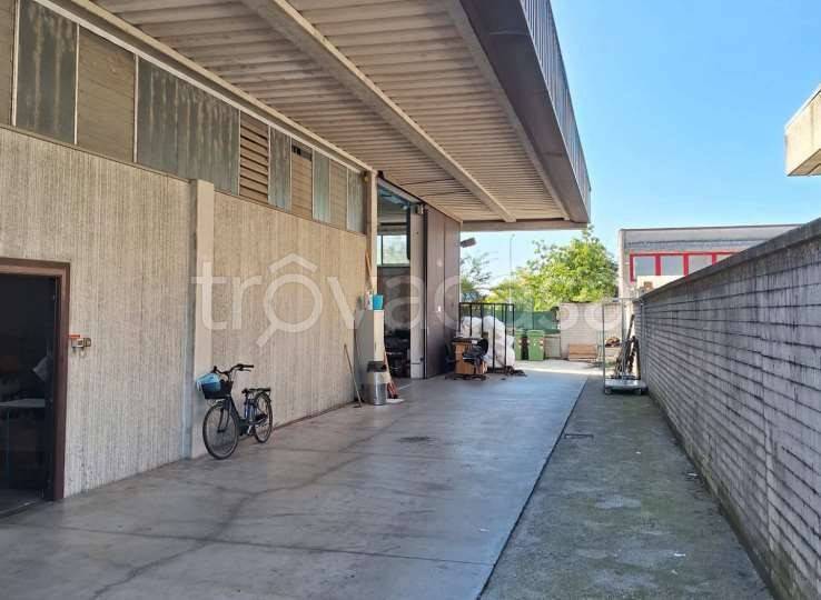 immagine annuncio 2 di 12