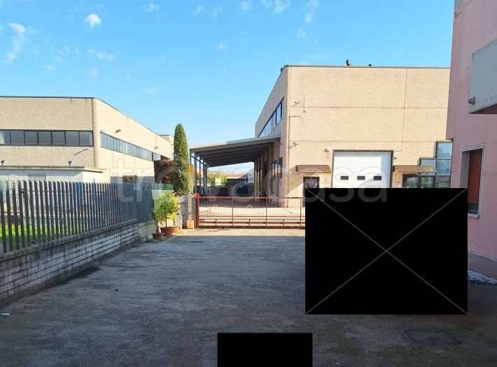 immagine annuncio 6 di 12