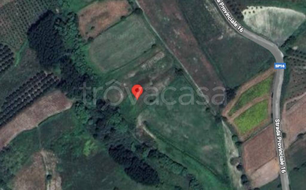 immagine annuncio 5 di 11