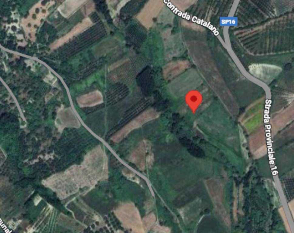 immagine annuncio 10 di 11