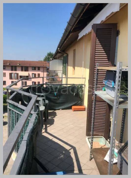 immagine annuncio 11 di 15