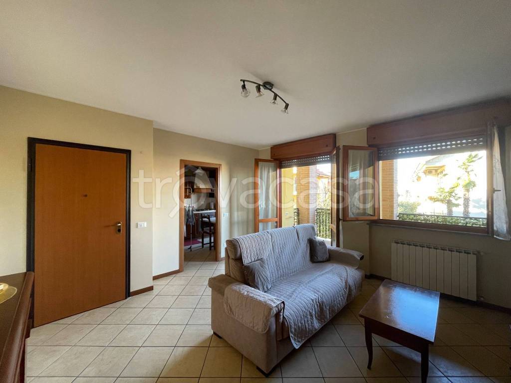 immagine annuncio 1 di 15