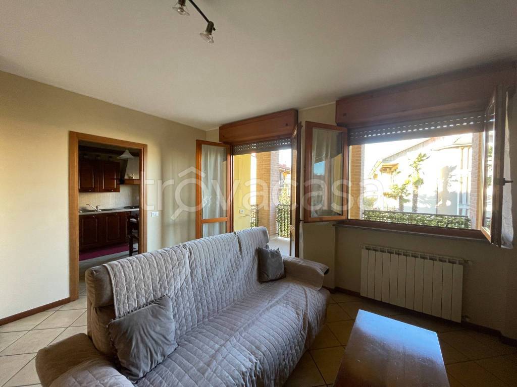 immagine annuncio 2 di 15