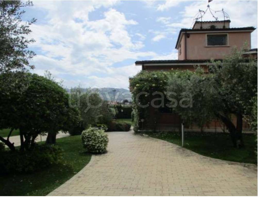 immagine annuncio 1 di 12