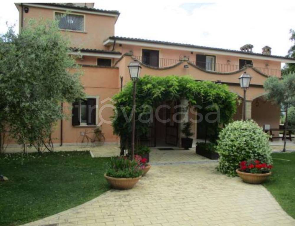 immagine annuncio 2 di 12