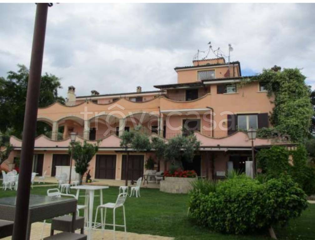 immagine annuncio 3 di 12