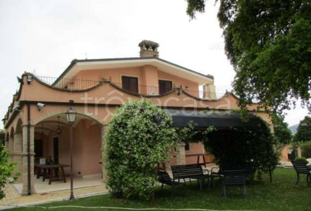 immagine annuncio 4 di 12