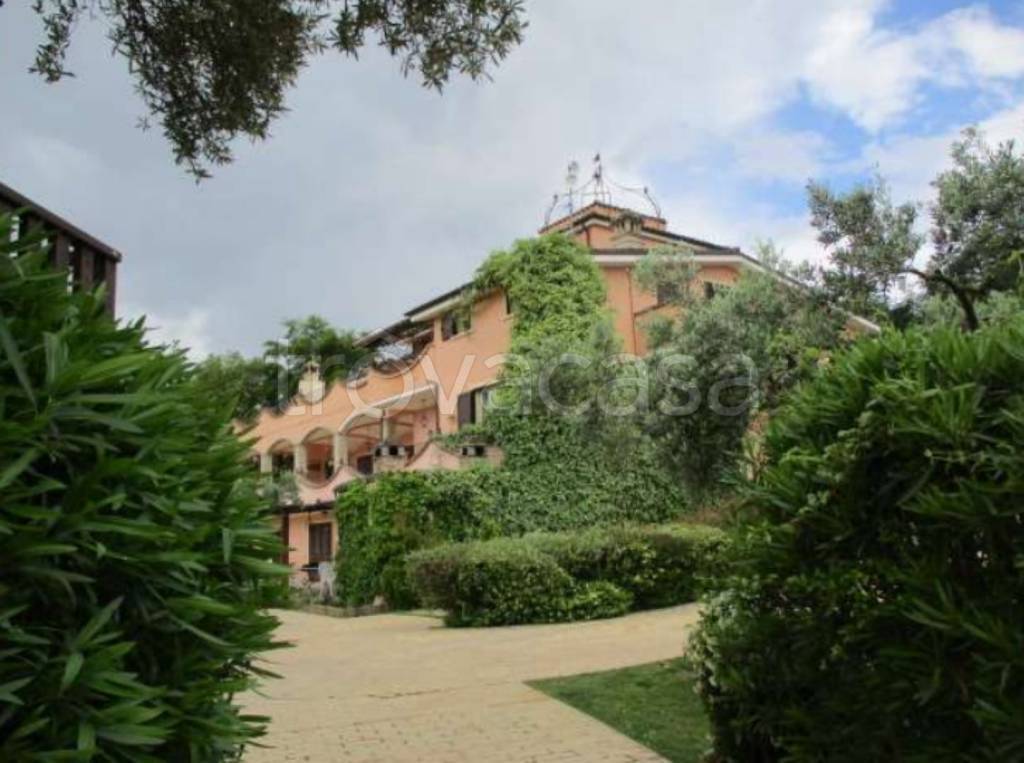 immagine annuncio 5 di 12