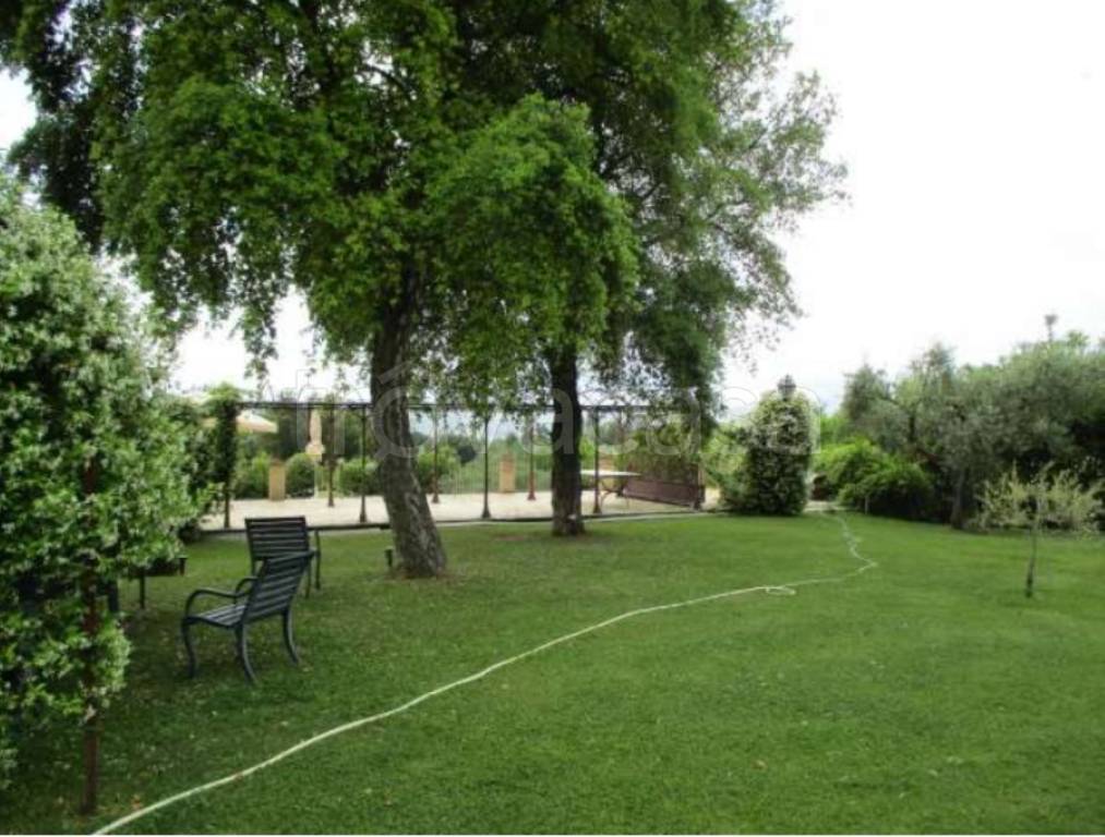 immagine annuncio 9 di 12