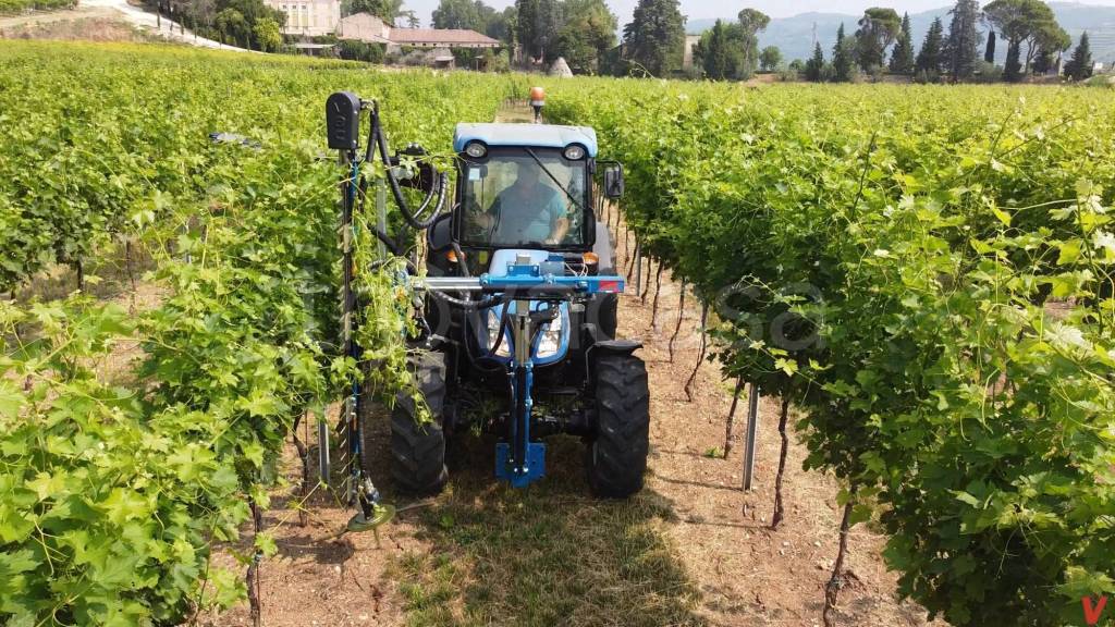 immagine annuncio 7 di 11