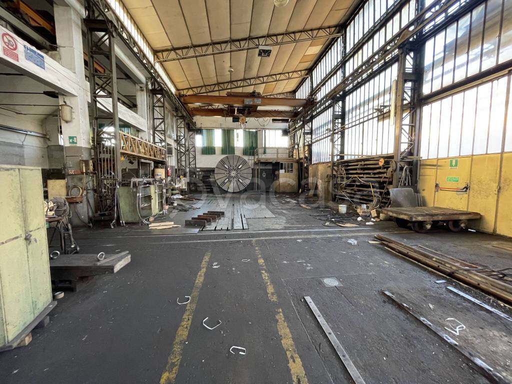 immagine annuncio 6 di 15